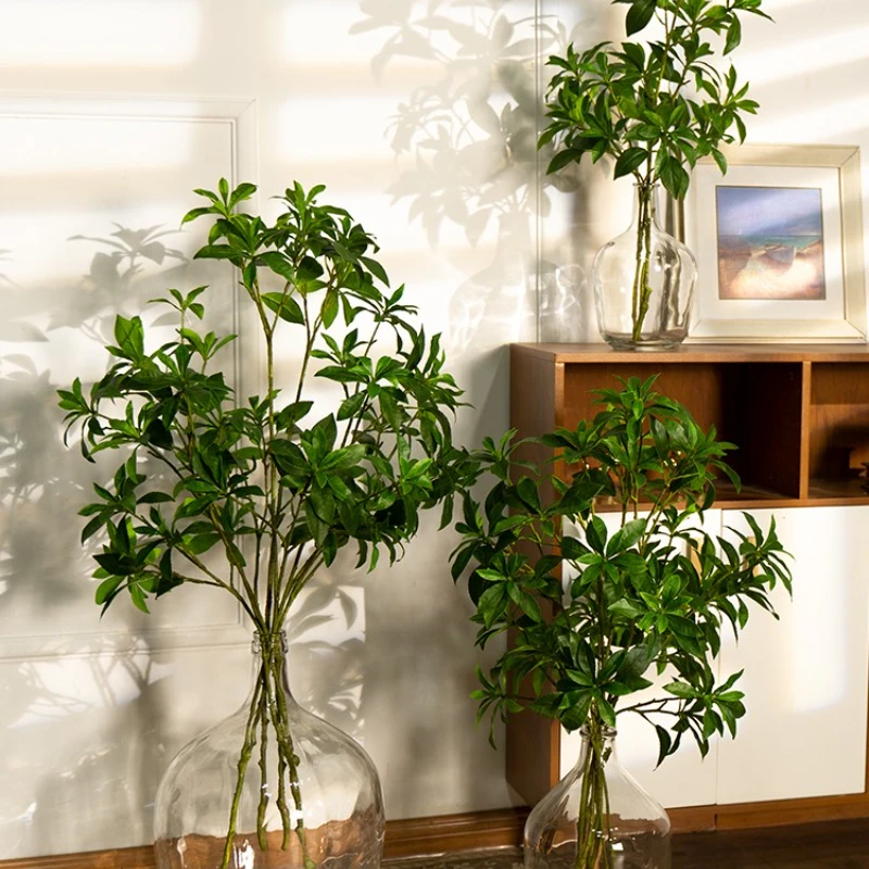 Green Leaves Green Plant Indoor Home Living Room Desktop Entrance Decoration Decoration