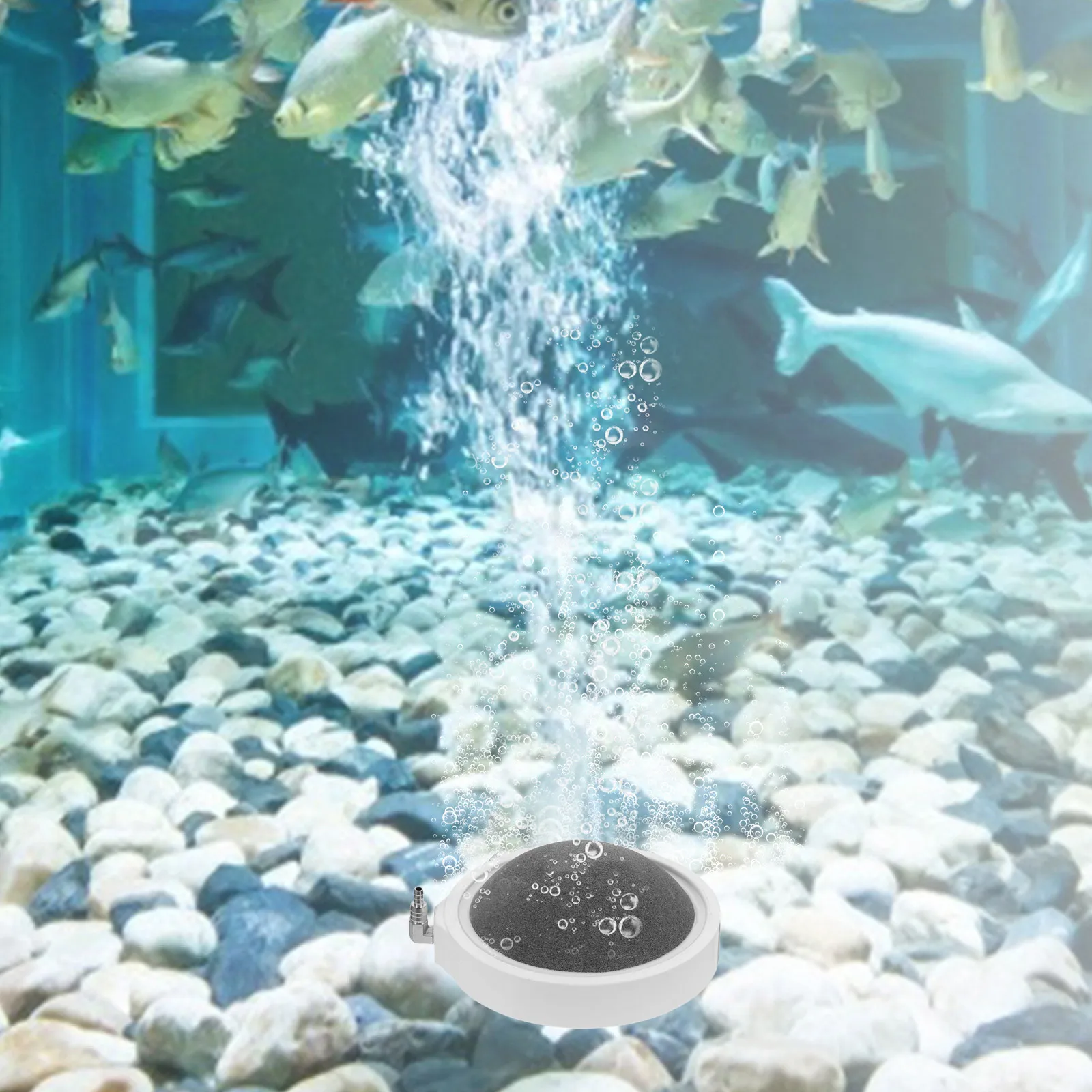 

2pcs Aquarium Bubbler Fish Tank Bubble Stone Oxygen Aerator Mute Bubbles Durable Reusable Air For Aquarium Fish Tanks