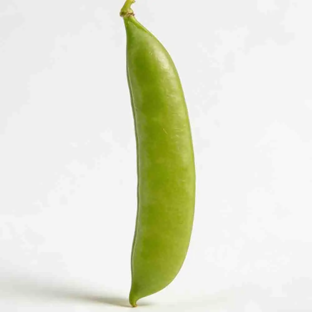 Cuav P9 Radio Digit… - image