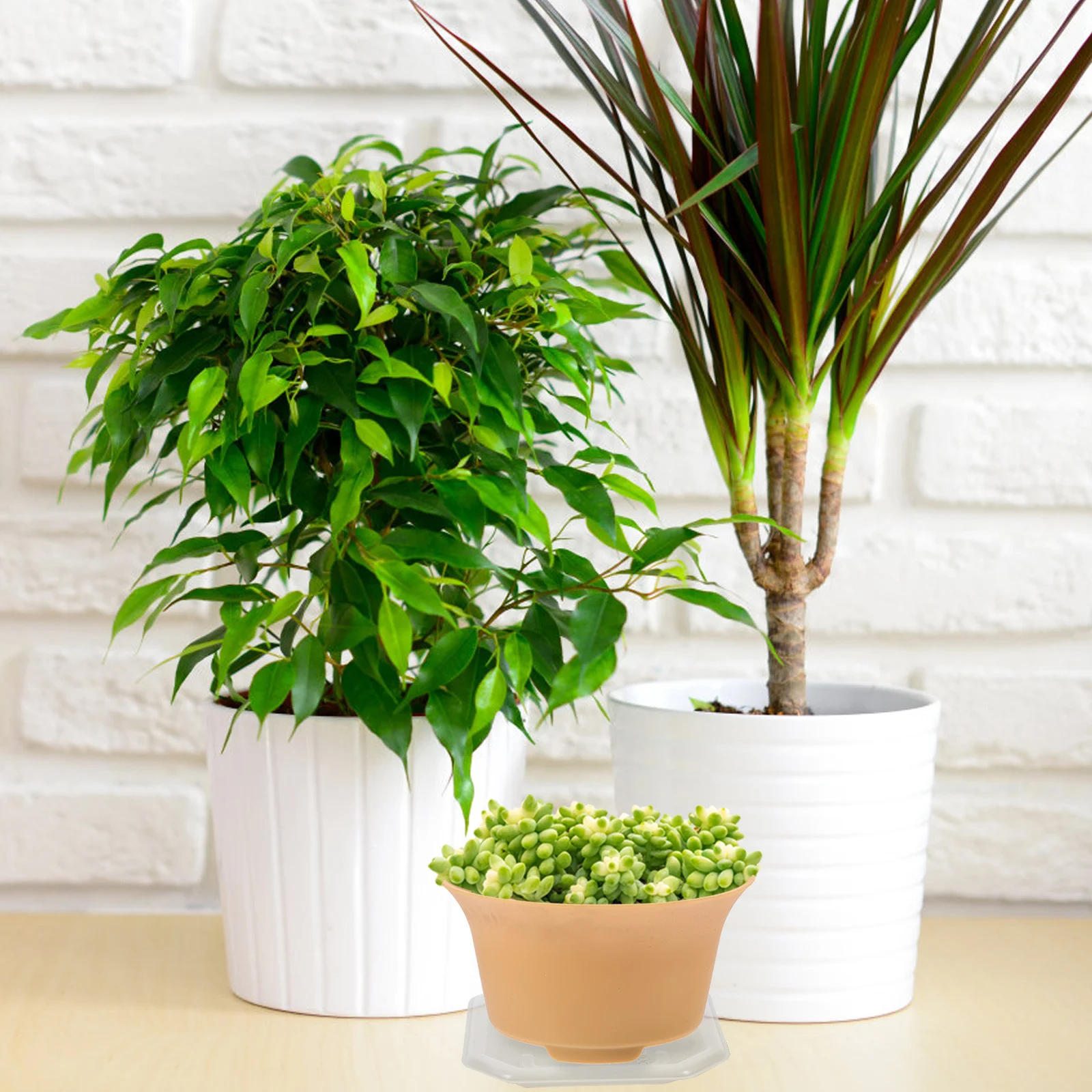 

50pcs Square Plant Saucer Heavy Duty Plastic Potted Plants Trays Water Catcher Drip Tray For Indoor Outdoor Garden Succulent