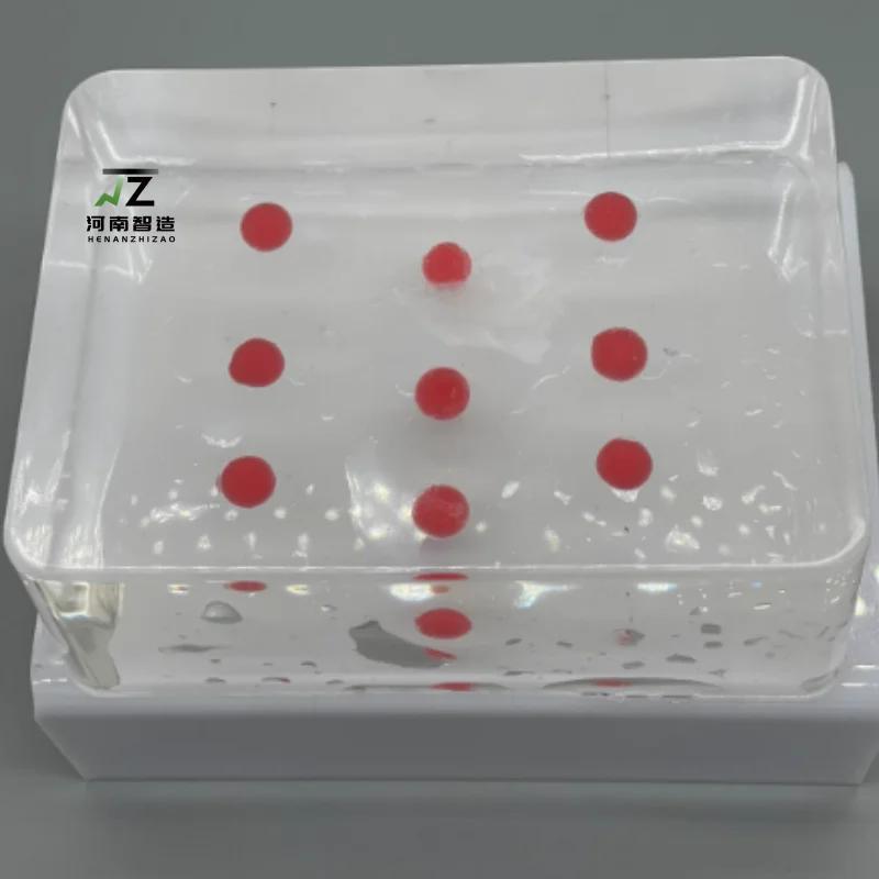 Ultrasound-guided Mass Puncture Teaching Model (skin Color)