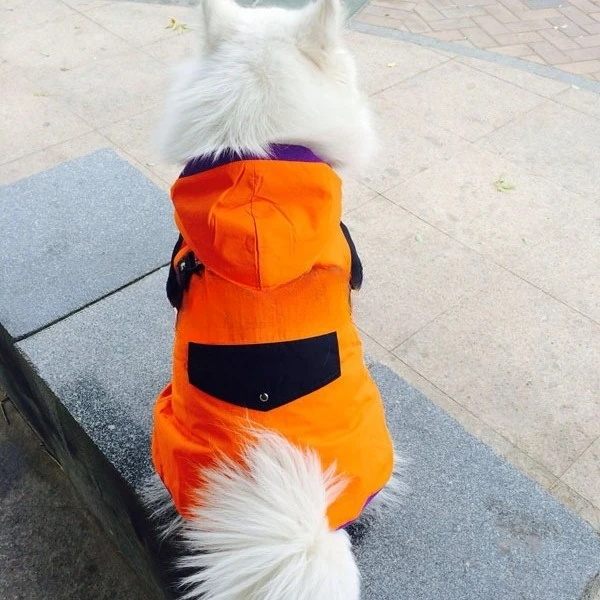 

Winter Dog Coat Waterproof Warm Pet Clothes for Teddy Large Dogs Golden Retriever Samoyed Anti Hair Sticking