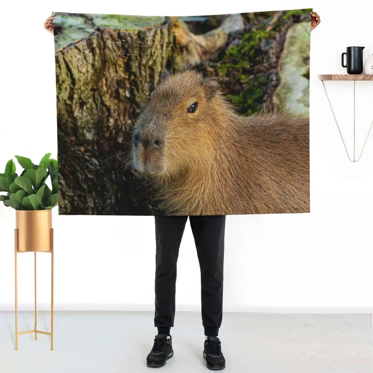 Just watching the world go by Throw Blanket bed plaid Thin Flannel Polar Multi-Purpose Personalized Gift Blankets