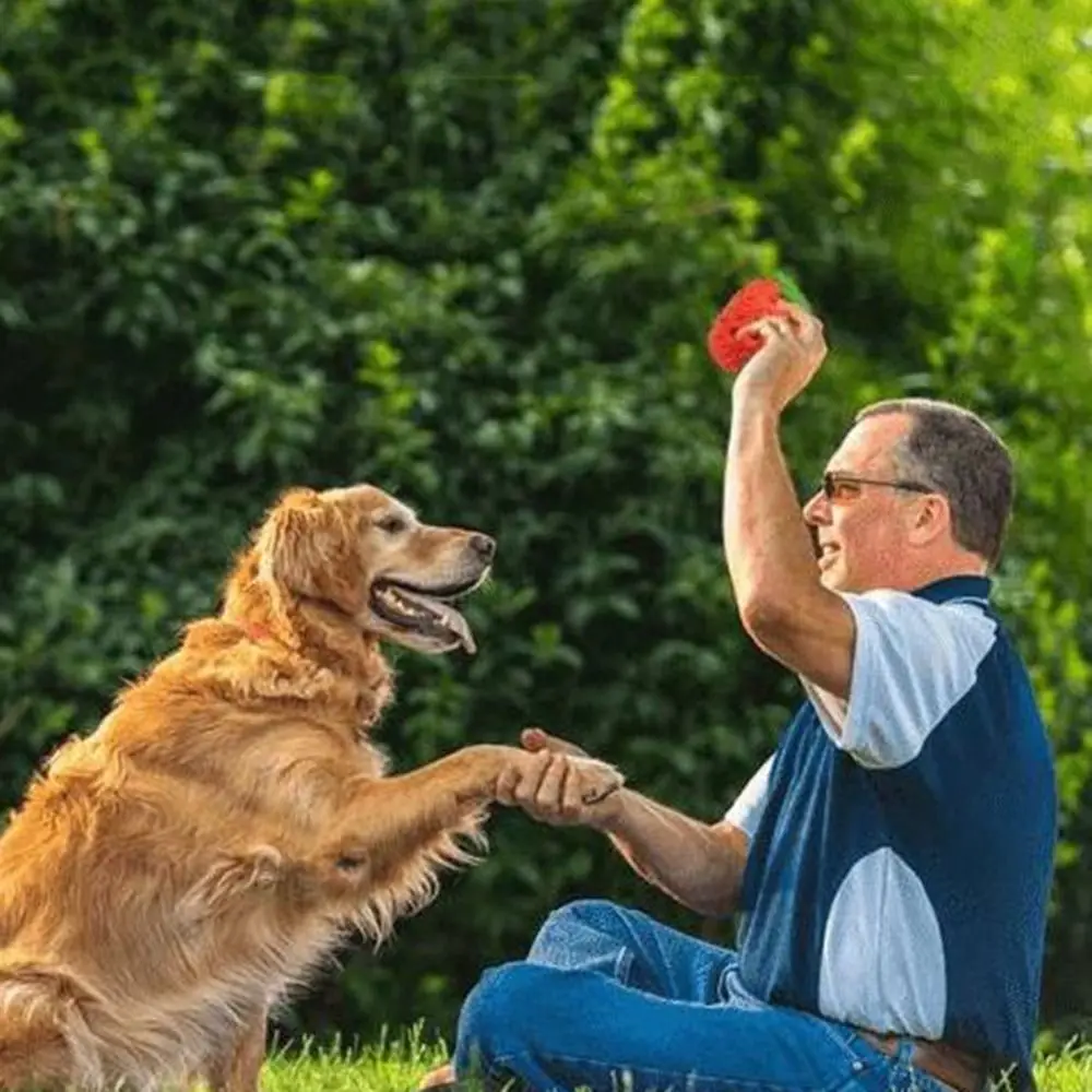 

Strawberry Shaped Dog Chew Toy Tooth Cleaning Bite Resistant Dog Food Leaking Ball Rubber Interactive Dog Grinding Teeth Toy