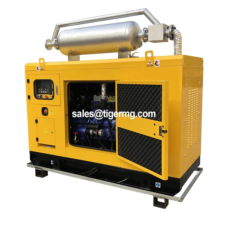 high performance small silent 5kw 10kw 20kw 100kw 200kw lpg gas generator with CHP