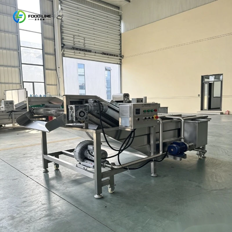 Factory Grade Fruit and Vegetable Air Bubble Cleaner Cleaning Washing Machine FL Customized