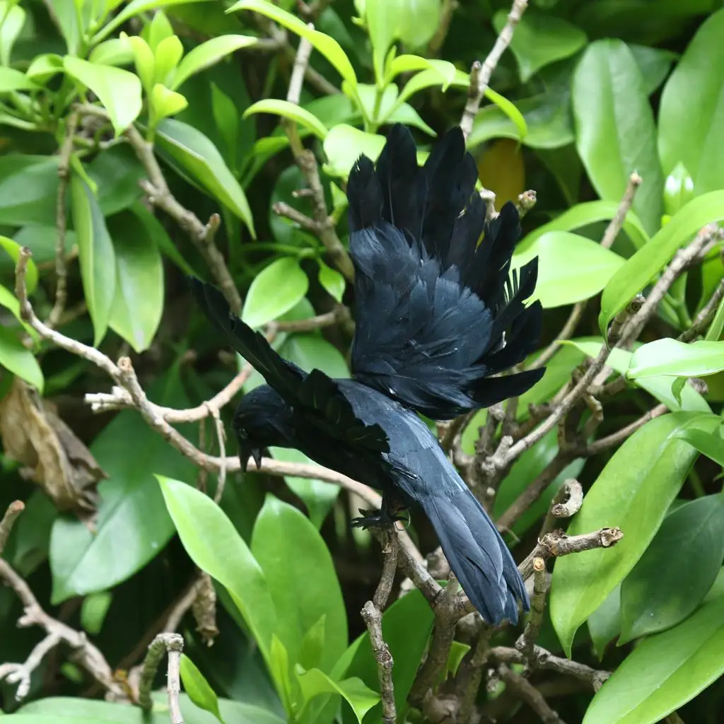 Feathered Crow Decorative Bird Lifelike Model Garden Yard Ornament for Outdoor Backyard Decoration