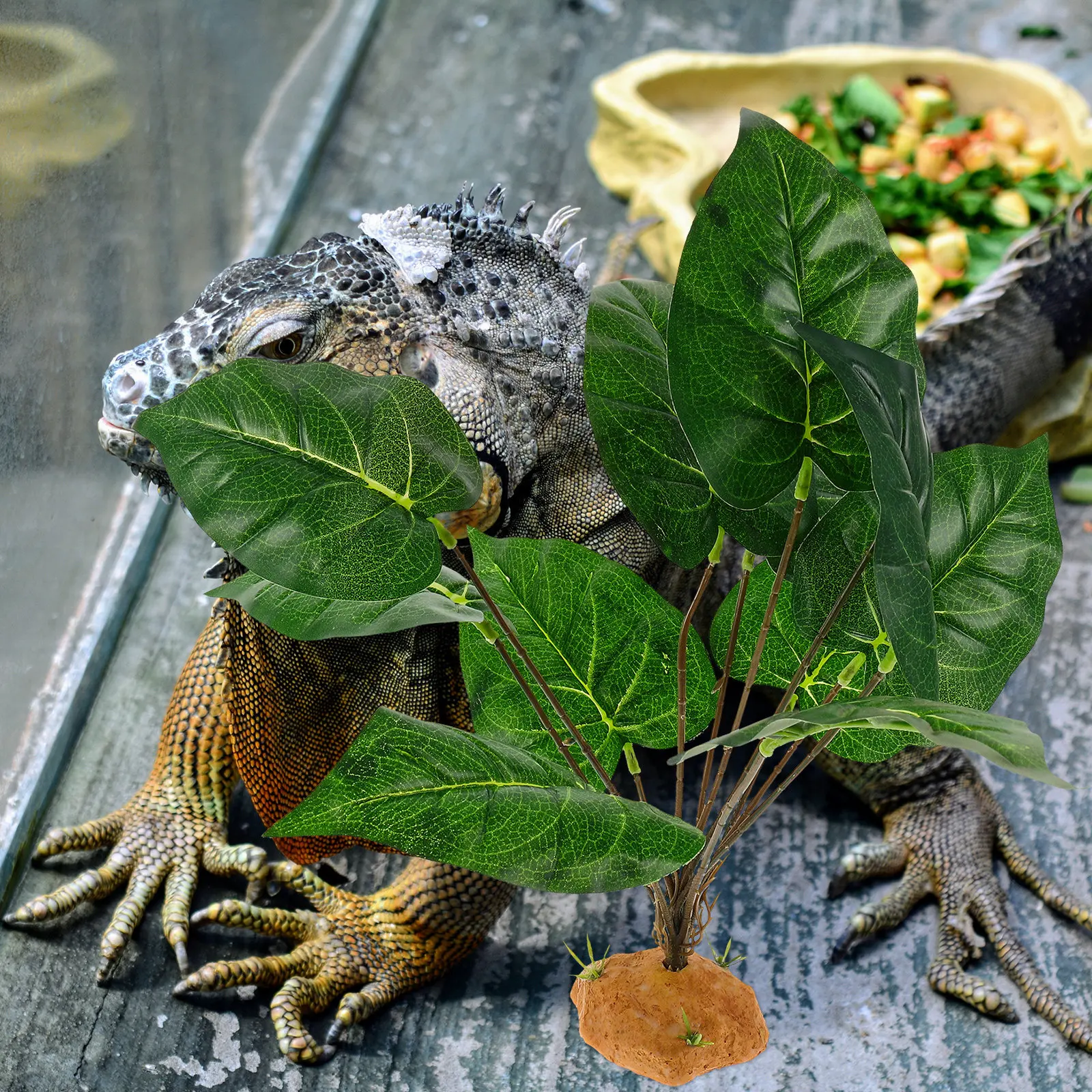 Lifelike Reptile Terrarium Pla - Aquarium Fish Hiding Spot recension och pris
