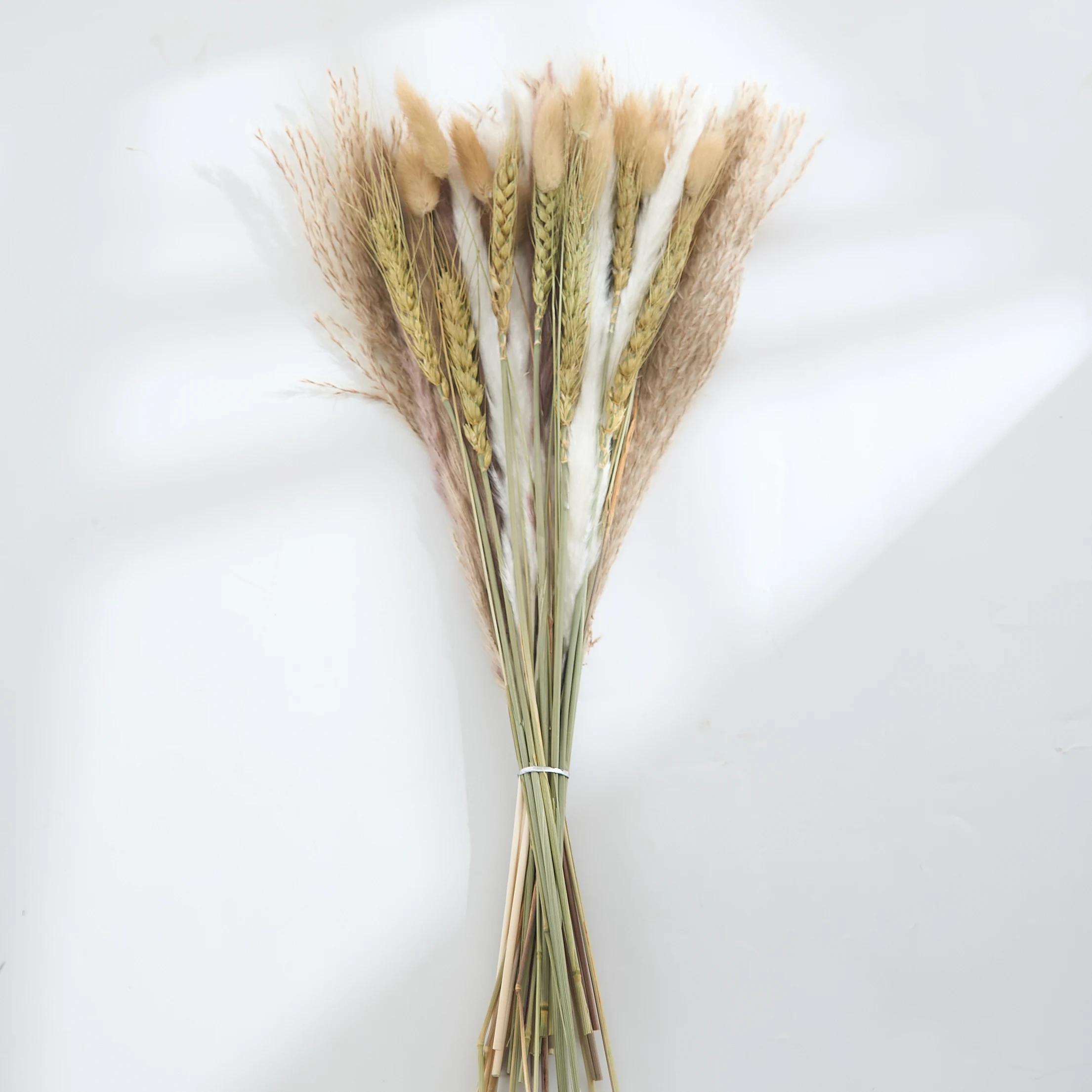 Fiori secchi naturali pampa Phragmites coda di coniglio Bouquet di erba per Boho Nordic Home Decor orecchie di grano decorazione di nozze