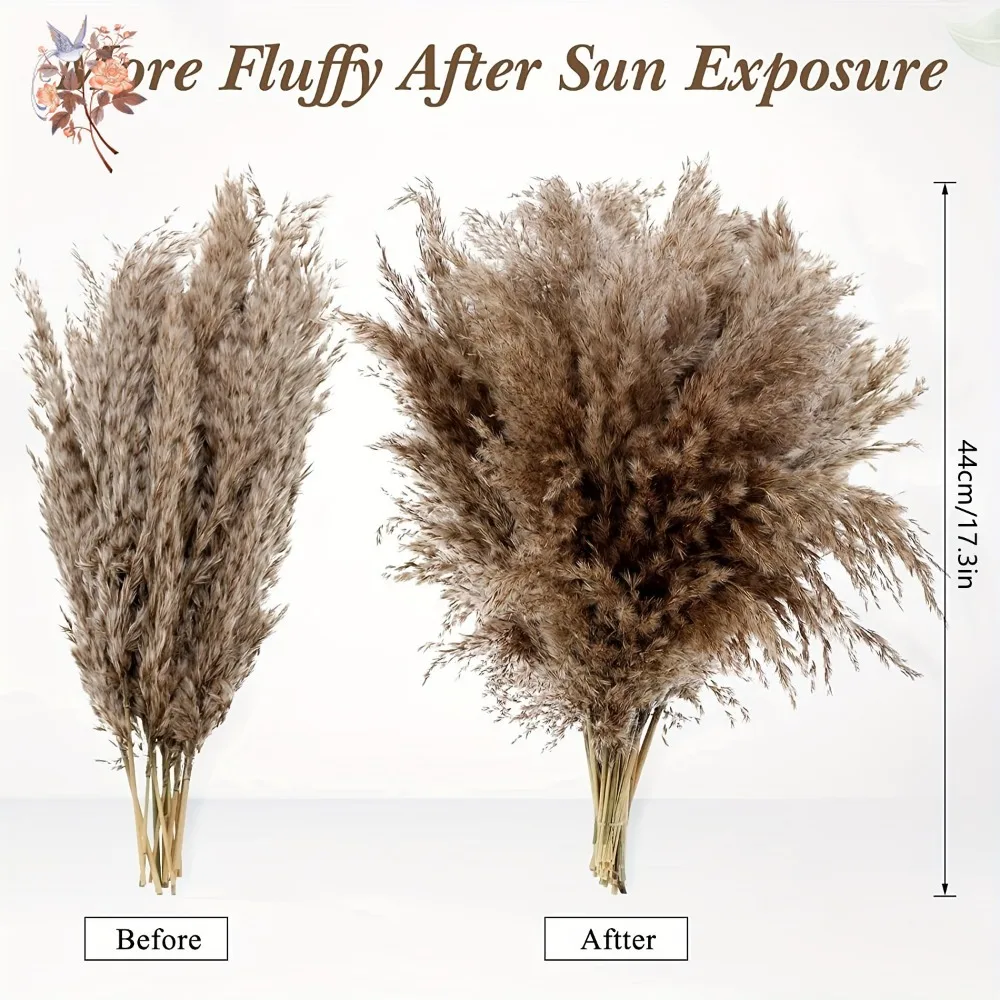 Fluffy Dried Pampas Bouquet Boho Home Decoration Natural Phragmites Reed Pampa Bunch Wedding Artificial Flowers Shooting Props