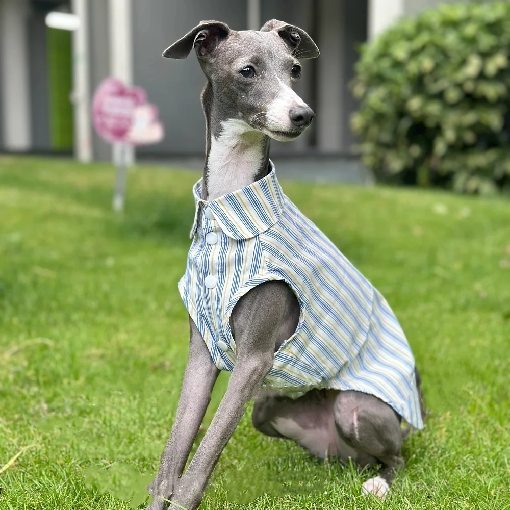 Italian Greyhound Blue Striped Cotton sleeveless Shirt Cool and Comfortable fabric Summer Ultra-thin Whippet Dog Clothes