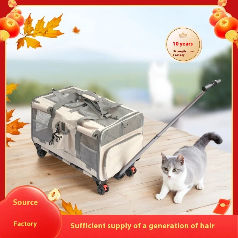 Custom Large Capacity Two Portable Hatchback Isolation Pet Out Bag Cross-Border Solid Pattern Cat Backpack Luggage Case Batch Av