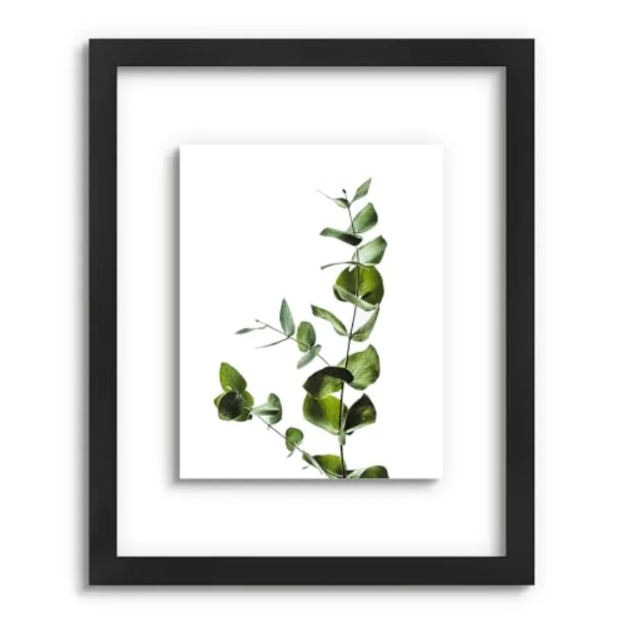 

Рамки для прессованных цветов - 16x20 - Стеклянная передняя панель - Для фотографий 11x14 с эффектом плавающего изображения или 16x20 без него - Рамка из массива дерева