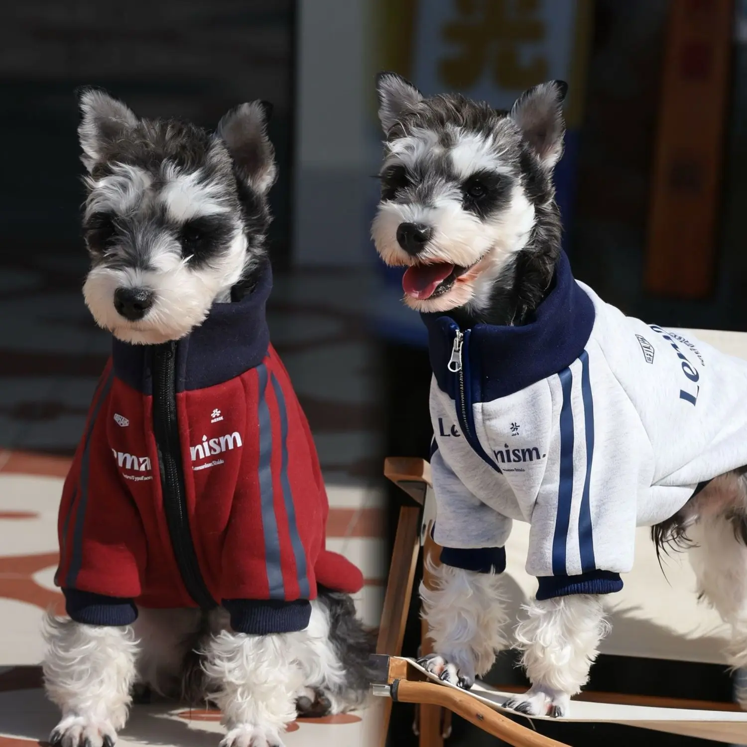 

Autumn Winter Pet Dogs Hoodies Sweatshirt Jacket Warm Fashion Pet Coat Schnauzer Chihuahuas Bulldog Costume Puppy Pet Clothing