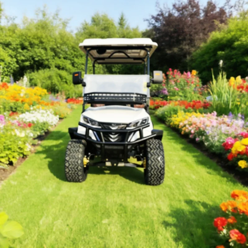 

Электрическая тележка для гольфа на продажу, уличная легальная электрическая тележка для гольфа, свинцово-кислотная батарея/литиевая батарея, передний бампер и передняя корзина