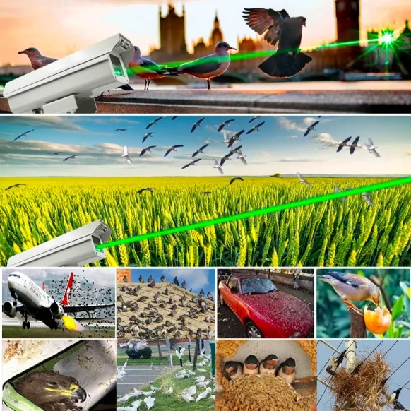1W DIY Remote Control Automated Rotating 360 Degree Changing Laser Beam Laser Bird Repeller With Safe Goggles/Glasses