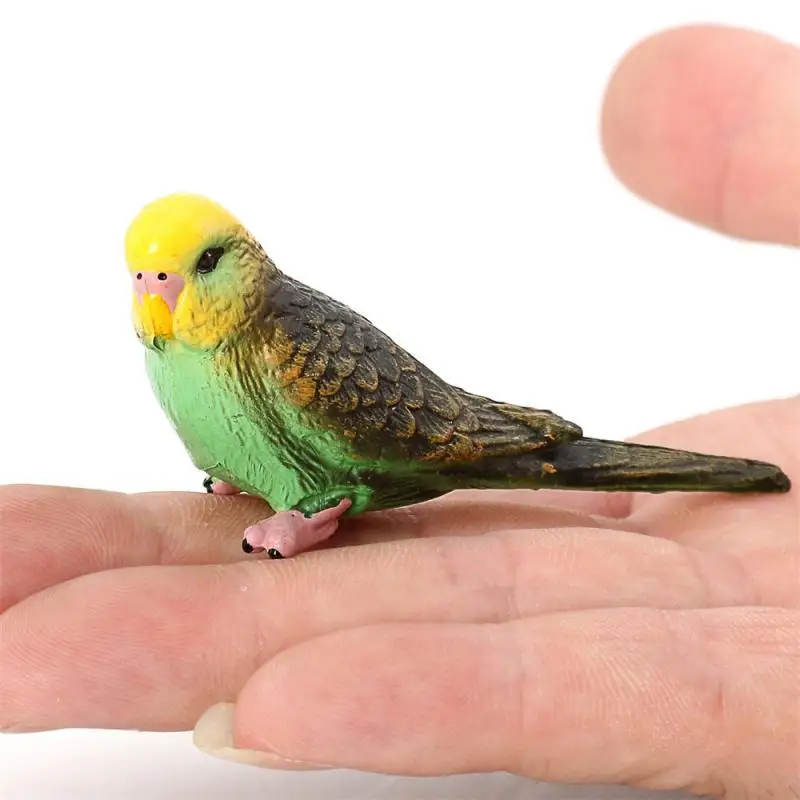 Simulation Wild Bird Animal Toys Cute Plastic Tiger Skin Parrot Model Action Figures Miniature Collection Ornament for Children