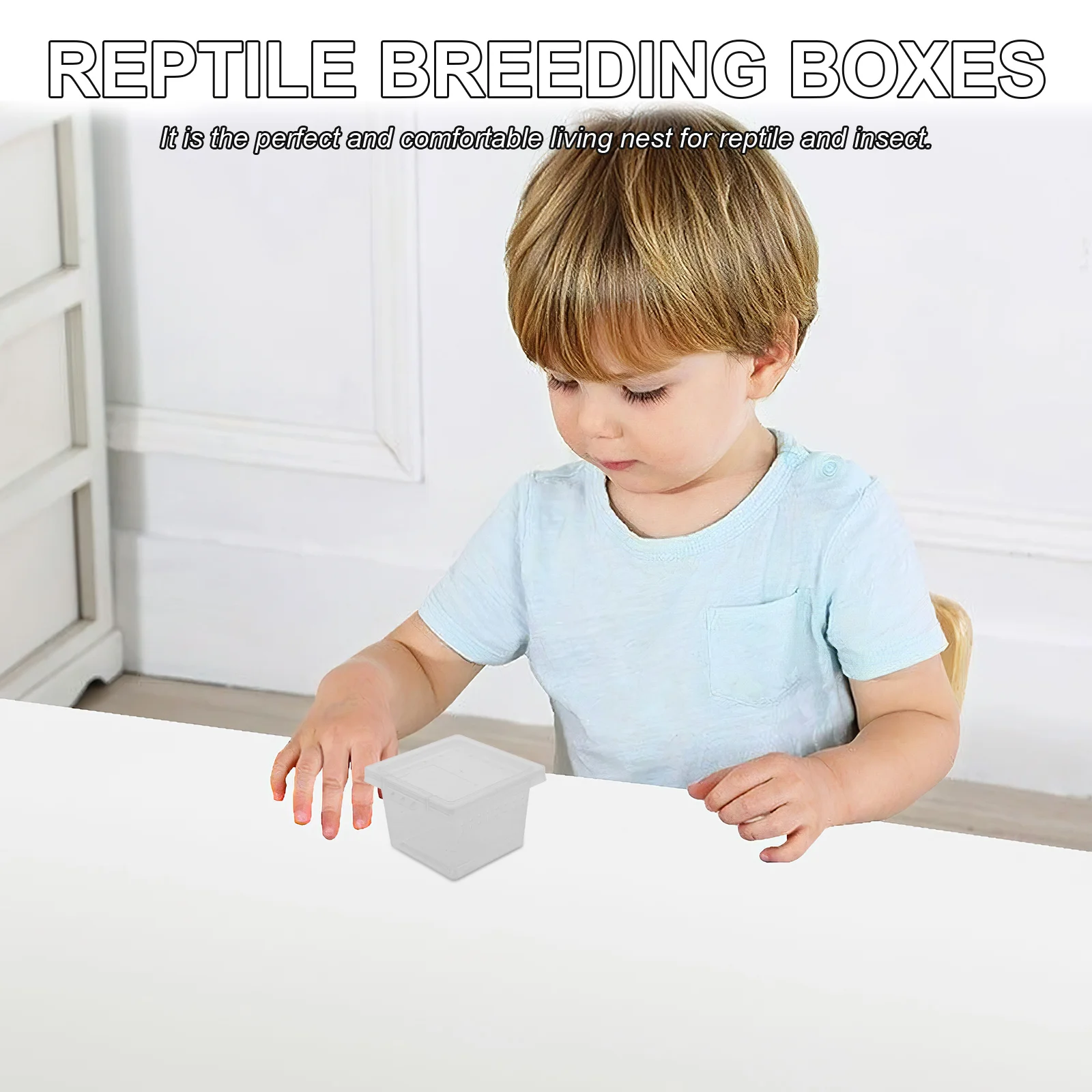 

100Pcs Insect Feeding Box Transparent Reptile Breeding Container for Tarantulas Crickets Snails Mantis Spider Lizard Cage