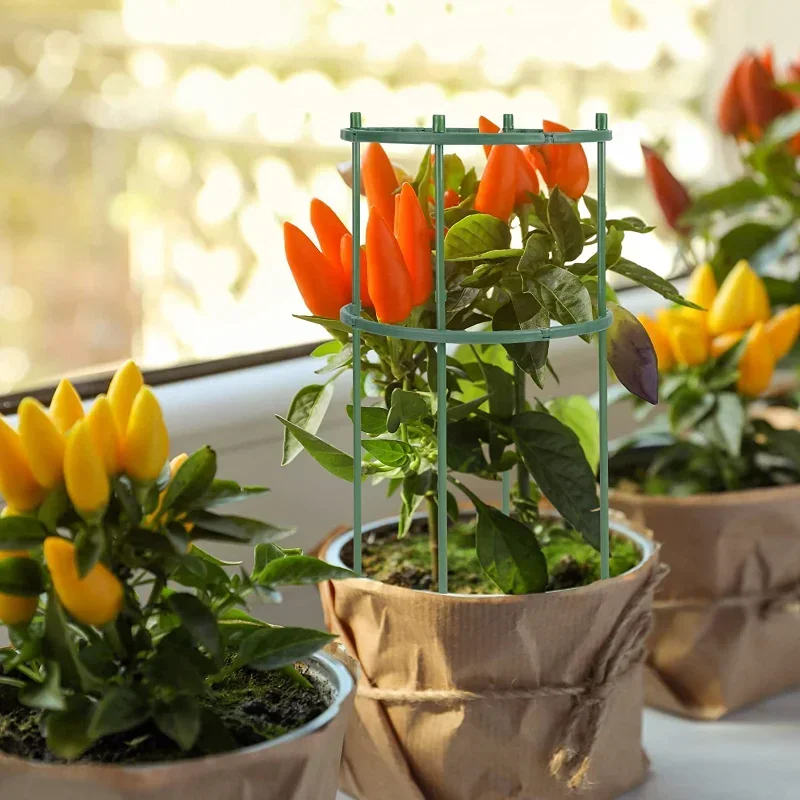 For Flowers Greenhouses Arrangement Fixing Rod Holder Garden ToolsPlastic Plant Support Pile Stand Plant Support Pile