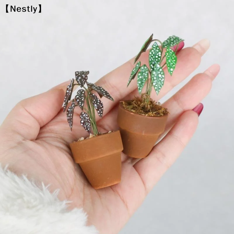 1:12 Miniature Simulation Flower Pot Green Plant Potted Model Dollhouse Home Decoration Micro Landscape Scene Ornament〔Nest〕