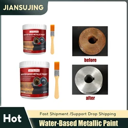Water Based Metallic Paint Metal Multi Functional Rust Converter Anti Corrosion Metal Protection Car Anti Rust Primer 100g/300g