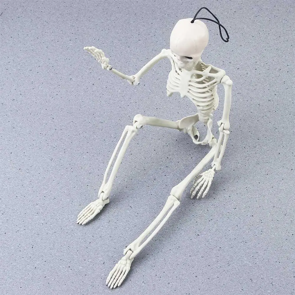 accessories Biology teaching Car interior accessories Car Rearview mirror pendant Skeleton model Human Bones Halloween props