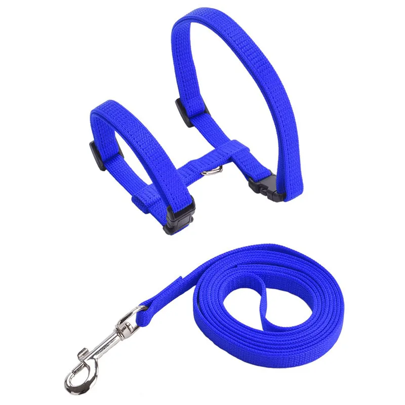 Einstellbare Haustier Katze Halsband Für Katzen Gemütliche Nylon Kaninchen Kätzchen Kedi Harness Leine Set Hund Katze Zubehör Produkte Für Haustiere