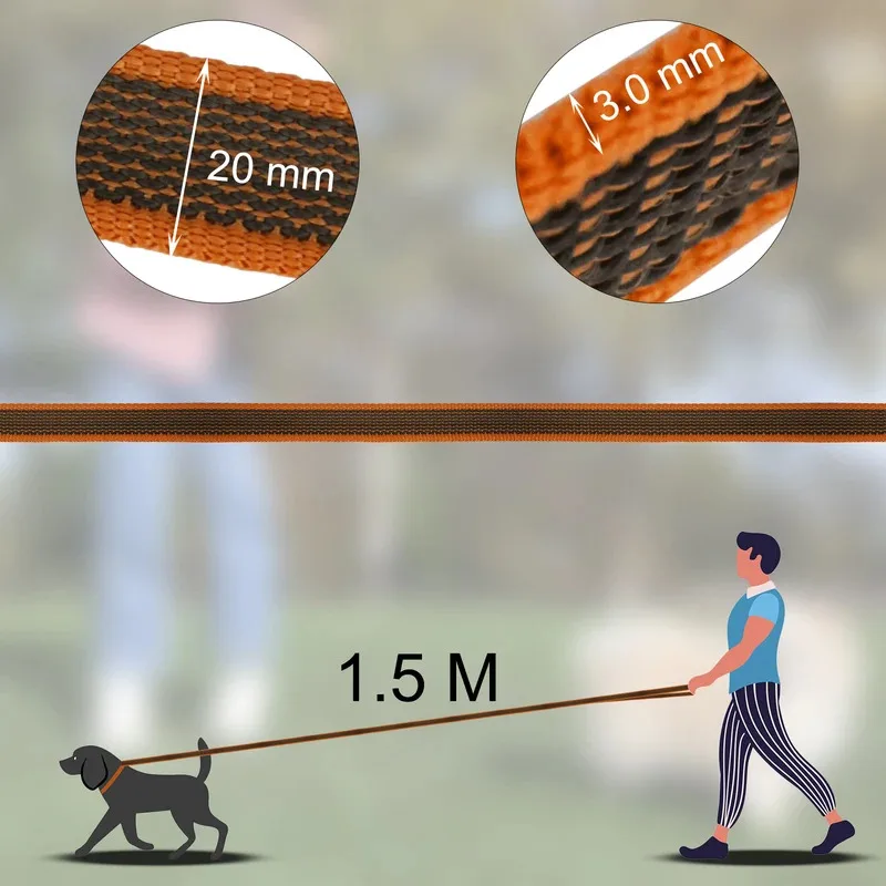 

10 Meter Long Dog Leash 5M 3M 2M 1.5M Retractable Latex Silk Training Lead for Medium Small Dogs Easy Walk Convenient