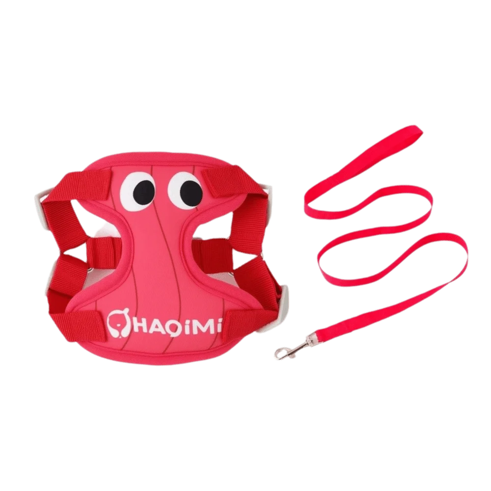 

Adjustable Pet Harness Leash Cartoon Breathable Dog Harness Vest Comfort Fit Big Eyes Pattern Traction Rope Daily Walk