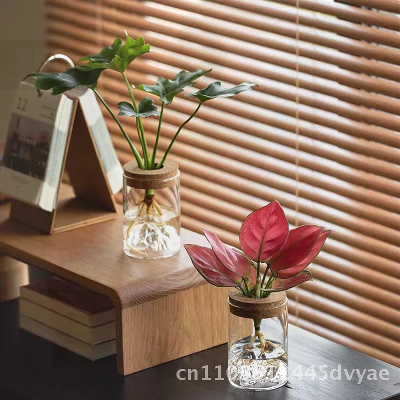 Botella ecológica de micropaisaje, florero para plantas hidropónicas, decoración interior, adorno carnoso de vidrio de alto borosilicato, flor de espárragos