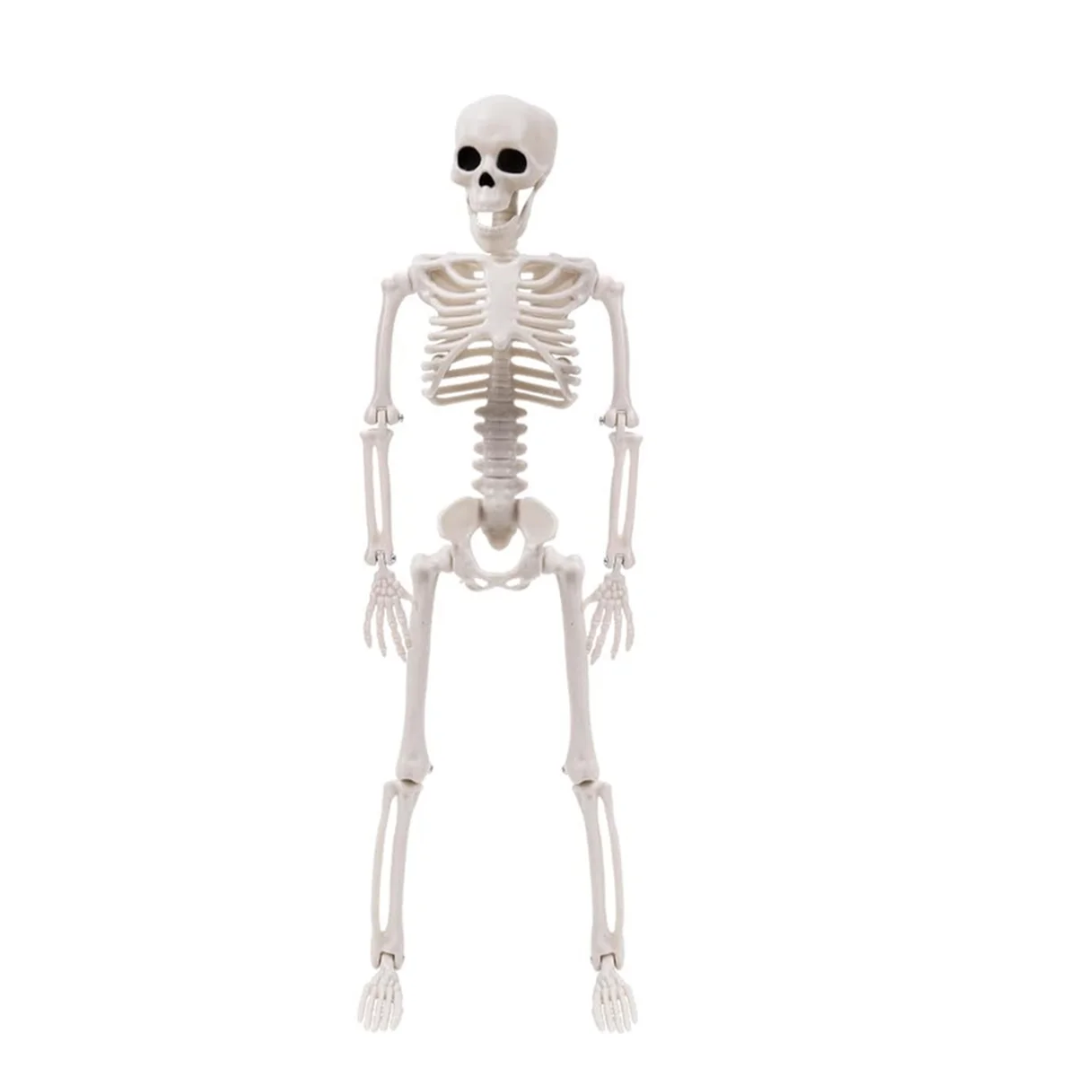 Halloween Esqueletos Decorações, Esqueleto Plástico Posable, Esqueleto De Corpo Inteiro Com Articulações Móveis