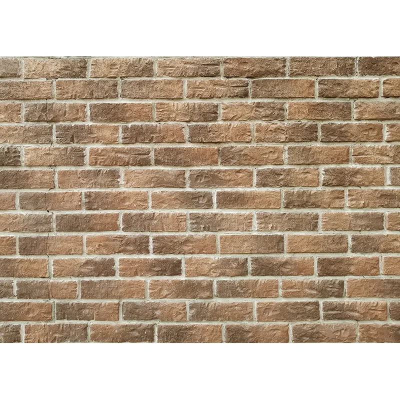 Puntelli su ordinazione dello Studio del fondo della foto di tema del muro di mattoni dell'annata dei fondali di fotografia del vinile 201225RY-09