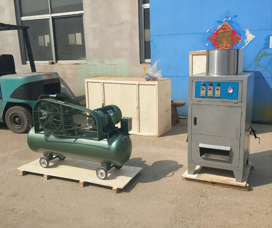 Cashew Nut Processing Peeling Machine /Cashew Nut Kernel Peeler Machine HJ-SPJX008