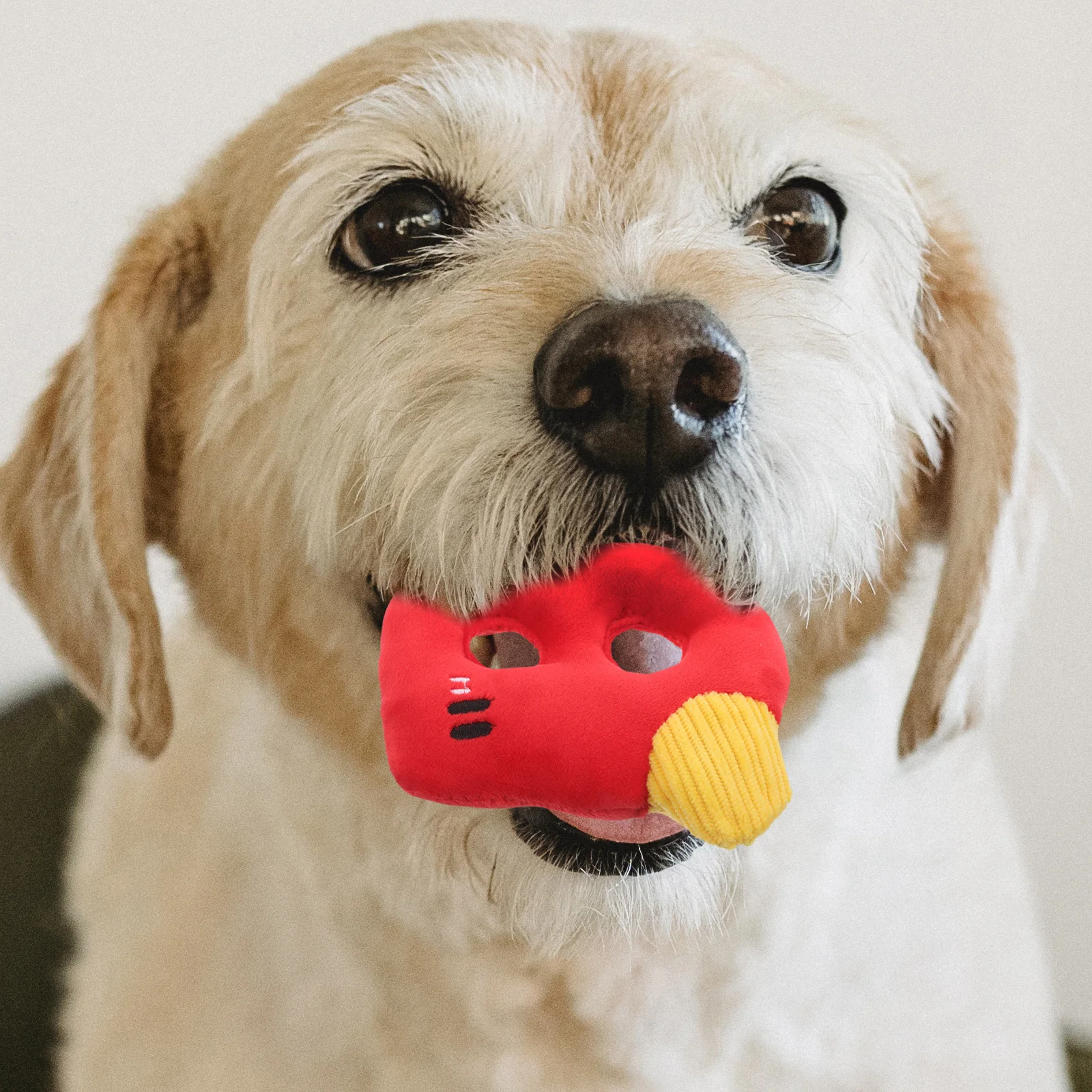 

Dog Interactive Squeaky Chew Soft Teeth Grinding Pet Chew Small Medium Dogs Indoor Outdoor Activity Dog Squeaky Toys