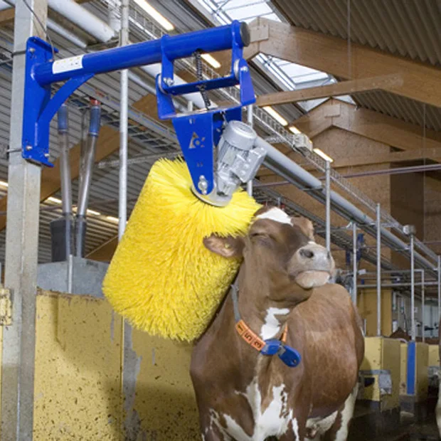 

Cow Body Massage Automatic Dairy Farm Cow Brush Horse Grooming Supplies For Cattle Cleaning Scratching