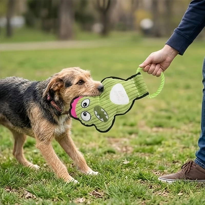 set-giocattoli-per-cani-peluche-per-giochi-interattivi-in-​​interni-2-pezzi-giocattoli-per-cani-increspati-cartoni