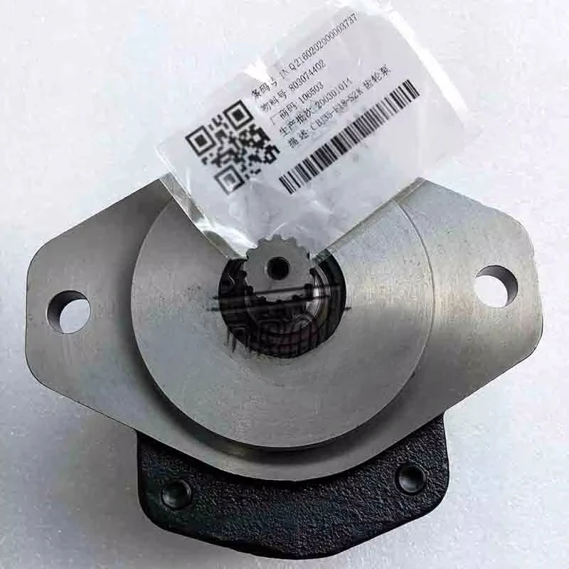 803074402 Hydraulic Gear Pump, Hydraulic System Spare Pump Part for XD122 Road Roller Machinery Overhaul