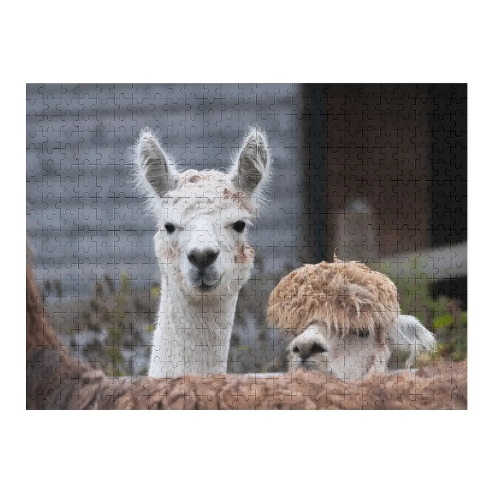 

Любимые альпаки, милые животные, головоломки, персонализированные подарки для детей, деревянные подарки для взрослых, индивидуальный подарок для свадьбы, головоломка на заказ