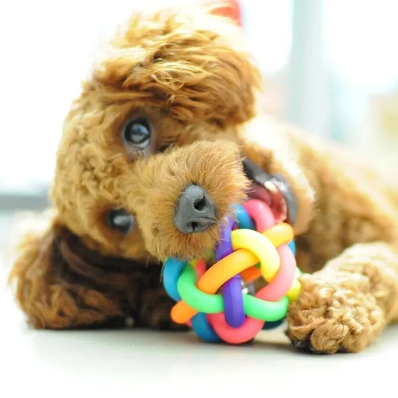 Color Rubber Training Chewing Ball Puppy Kitten Small Bell Cry Toy Dog Antibite Ball Dog Accessories