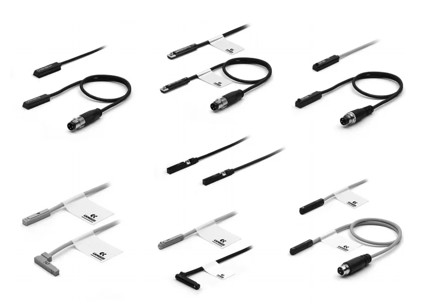 2025.4Customized Ca…