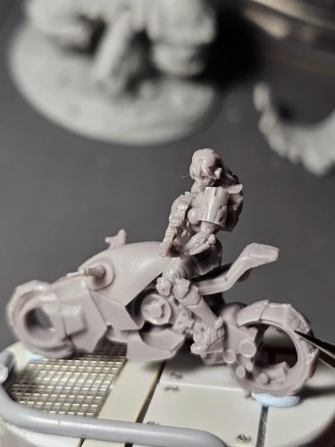 Buyer photo of this resin kit