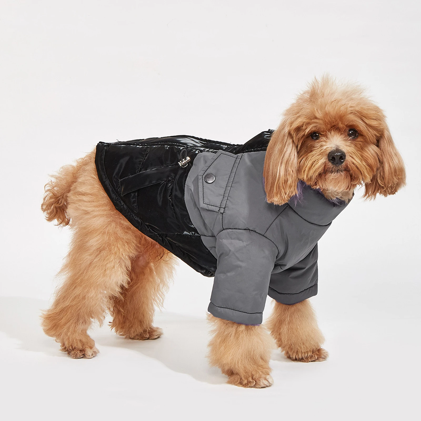 Winter Dog Clothes Cold Resistant Warm Pet Jacket Small Medium Dog Outdoor Windproof Coat
