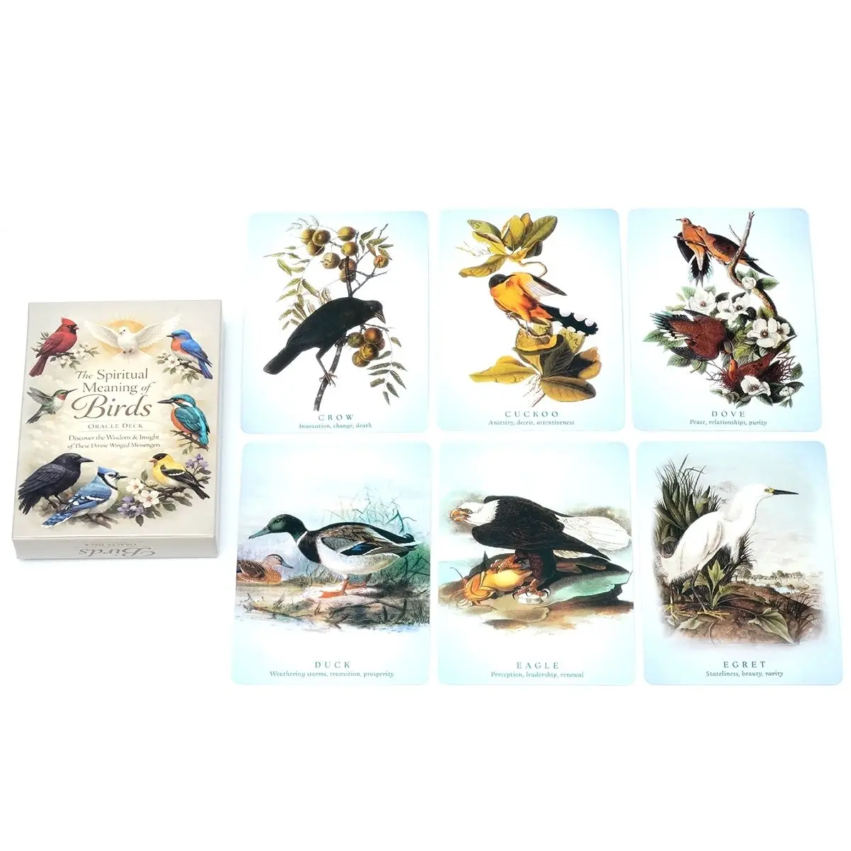 Le sens spirituel des cartes Oracle des oiseaux, 50 cartes de divination inspirées de la nature pour l'inspiration et la sagesse