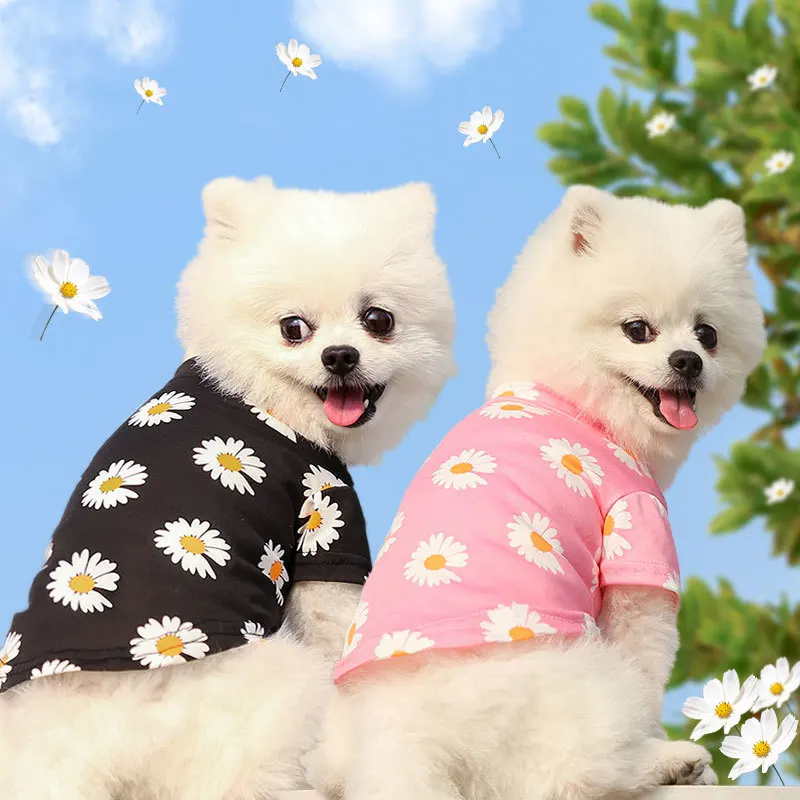 Dog And Cat Cooling Clothes New Spring Summer And Autumn Travel Teddy Bichon Small And Medium-sized Dog Daisy Pet Supplies