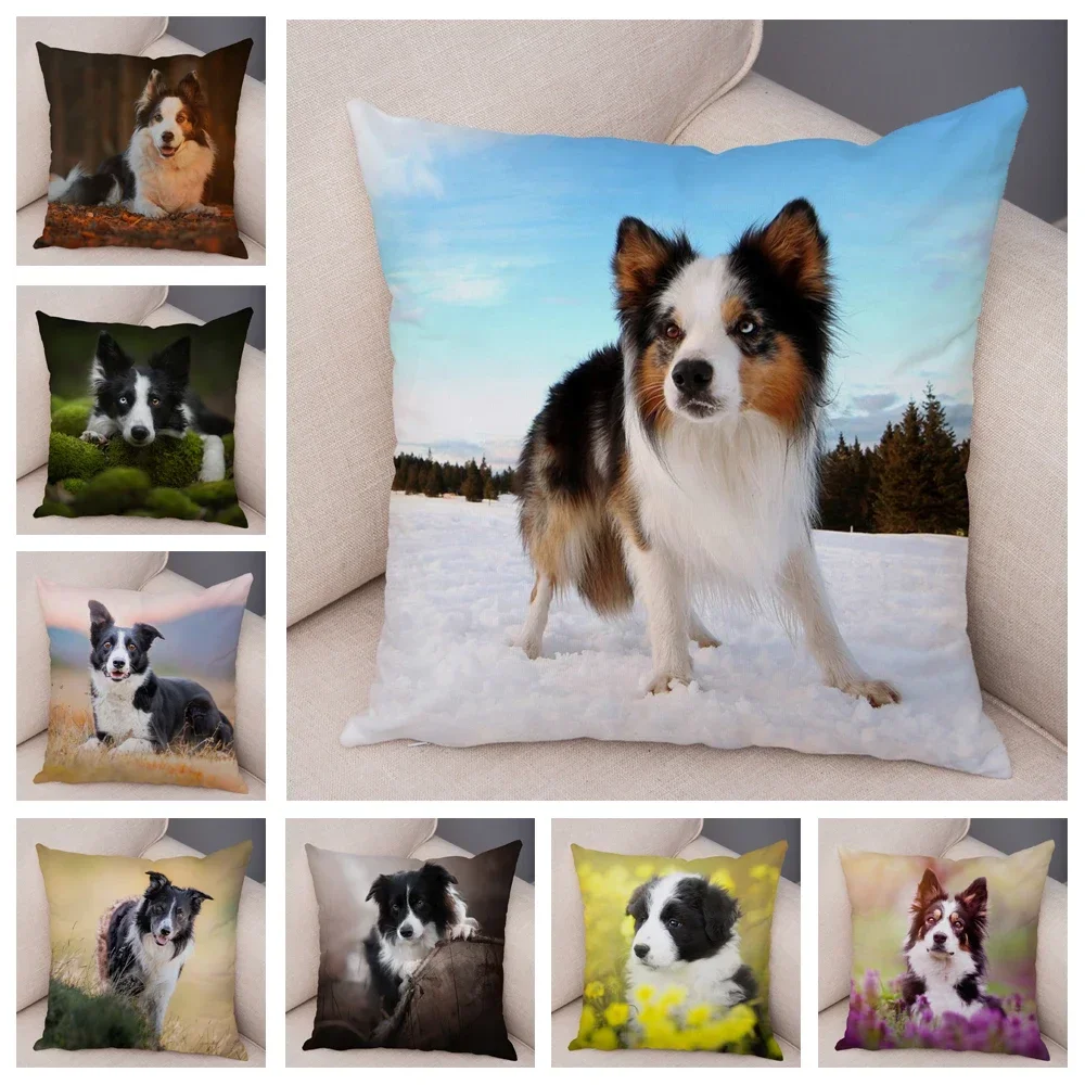 Cute Pet Animal Cushion Cover Scottish Border Collie Pillowcase Dog Printed  Sofa Stroller Customizable