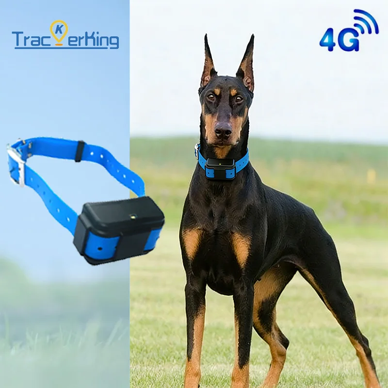 Hunting Dog GPS Tracker Anti-Lost Pet Collar Pet Tracker Real-Time Tracking 4G Pet Anti-Loss Locator