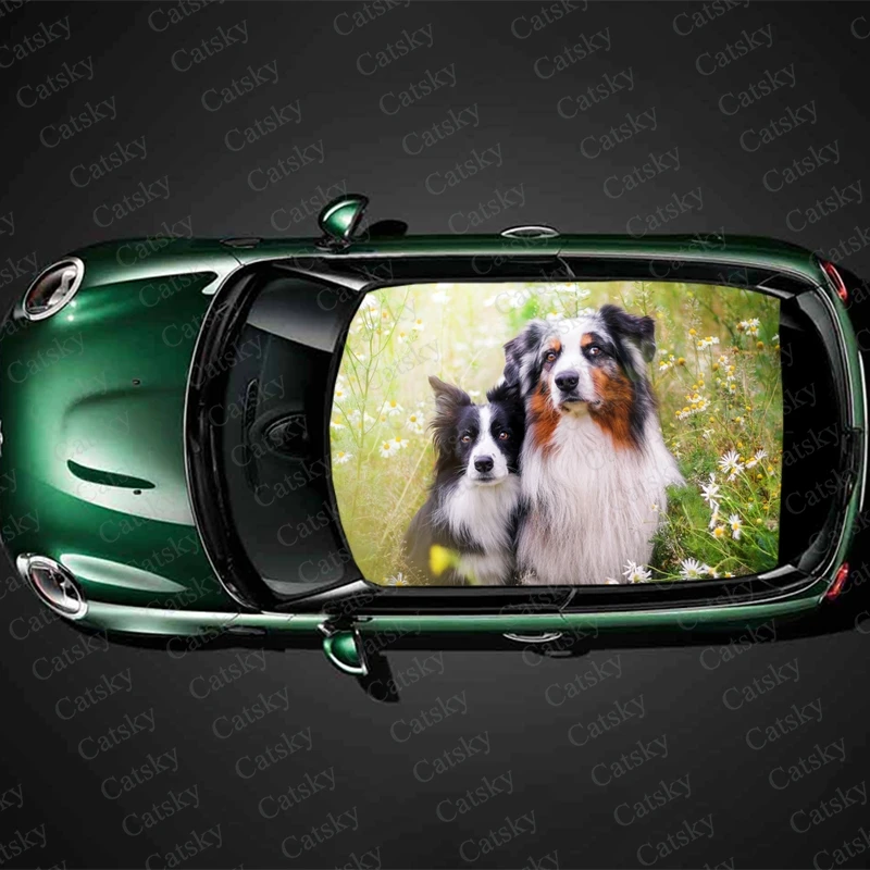 

Australian Shepherd Car roof sticker wrap racing SUV accessories packaging painting PVC car accessories graphic decals