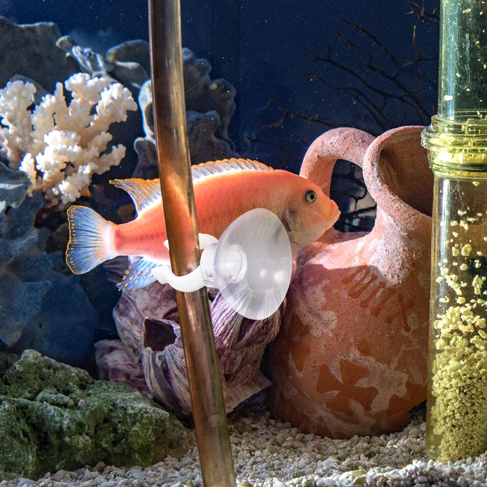Clip per ventosa per acquario da 20 pezzi Clip di fissaggio per tubo flessibile in ABS trasparente Supporti per tubi dell'acqua dell'acquario Installazione semplice
