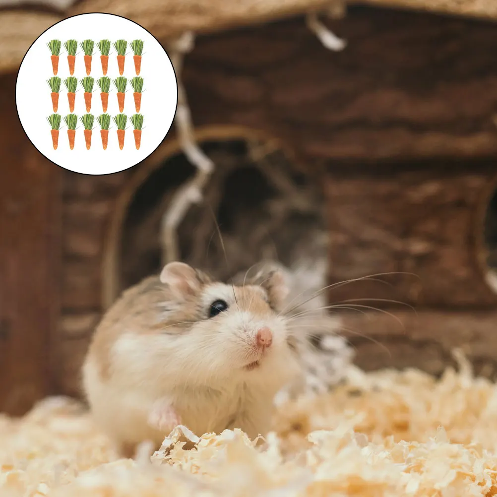 

18Pcs Carrot Teeth Grinding Sticks for Hamsters Rabbits Guinea Pigs Chew Treats Small Animal Dental Care Molar Exercise Cage