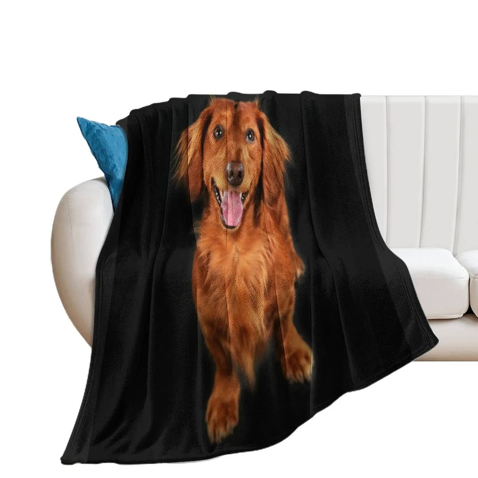 Dachshund long hair, dachshund looks funny Throw Blanket Cute For Baby Blankets